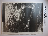 藏品(野柳風景)的圖片