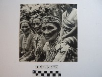 藏品(原住民黥面女長者)的圖片