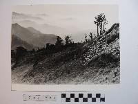 藏品(高山清境)的圖片