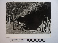 藏品(佳陽部落)的圖片