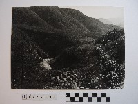 藏品(高山風情)的圖片