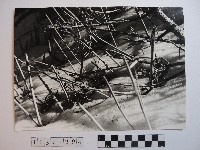 藏品(高山風情)的圖片