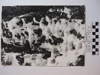 藏品(高山風情)的圖片