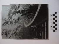 藏品(成仙之道)的圖片