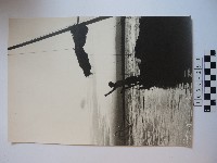 藏品(船隻剪影)的圖片