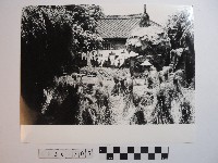 藏品(收割後的農莊)的圖片