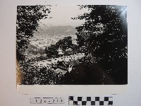 藏品(聚落)的圖片