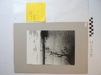 藏品(社子頭歸航)的圖片