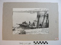 藏品(曬網)的圖片