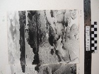 藏品(野柳風景)的圖片