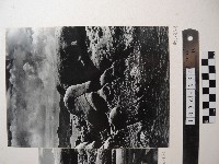 藏品(野柳風景)的圖片