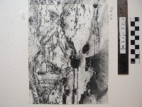 藏品(野柳風景)的圖片