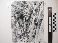 藏品(野柳風景)的圖片