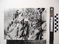 藏品(野柳風景)的圖片