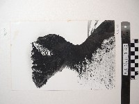 藏品(野柳風景)的圖片