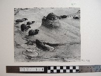 藏品(野柳風景)的圖片