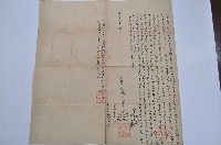 藏品(咸豐八年梁俊等立典契字)的圖片
