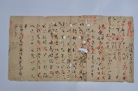 藏品(林佳我正宗命卜之四柱八字推命)的圖片