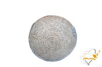 藏品(敦和里英義堂金獅陣盾牌)的圖片