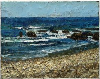 藏品(蘭嶼海邊)的圖片