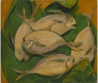 藏品(魚)的圖片