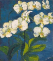 藏品(蘭花)的圖片