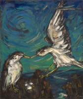 藏品(信天翁)的圖片