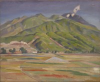 藏品(收割後)的圖片