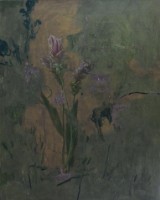 藏品(江河蛻)的圖片