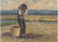 藏品(收割)的圖片