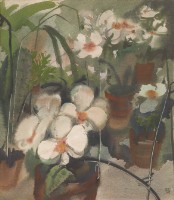 藏品(花)的圖片