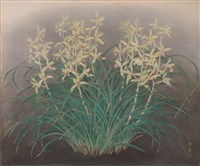 藏品(素心蘭)的圖片