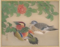 藏品(暖春)的圖片