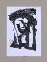 藏品(等待展翅)的圖片