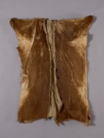 藏品(獸皮衣)的圖片