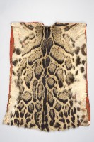 藏品(男子豹皮背心)的圖片