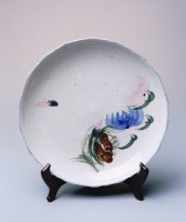 藏品(含苞待放盤)的圖片