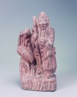 藏品(南極仙翁)的圖片