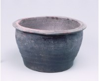 藏品(龜紋角缽)的圖片