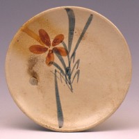 藏品(碟)的圖片