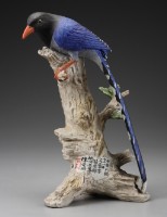 藏品(臺灣藍鵲)的圖片