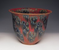 藏品(綻放)的圖片