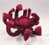 藏品(Siren)的圖片