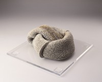 藏品(銀色暗礁 I)的圖片