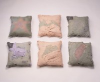 藏品(SARS 2003: 枕戈待旦)的圖片