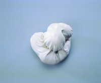 藏品(餃子第三號)的圖片
