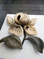 藏品(花)的圖片