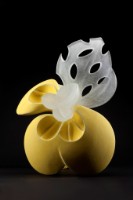 藏品(豐饒富足之角07-Y2)的圖片