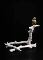 藏品(瀕絕)的圖片