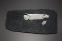 藏品(旅程)的圖片